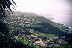 El Sauzal, Tenerife