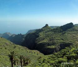 Parque Nacional de Garajonay