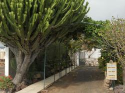 Aloe Park, Tenerife