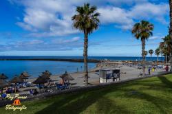 Playa del Camisón, Arona